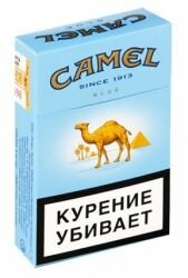 Camel