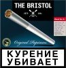 The Bristol